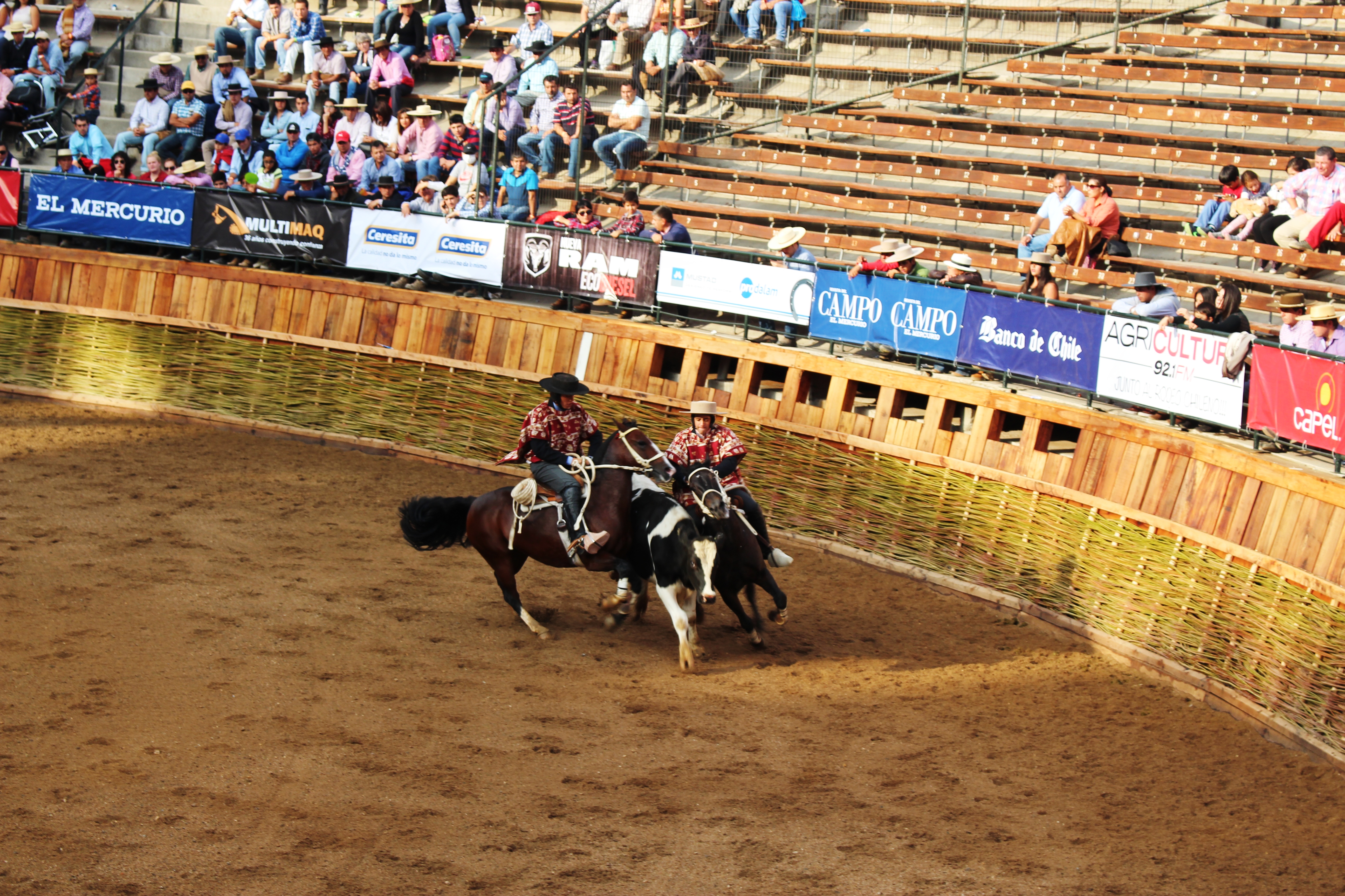 Rodeo Chileno - Deporte nacional